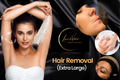 Hair Removal (Extra Large)